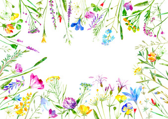 Fototapeta na wymiar Floral frame of a wild flowers and herbs on a white background.Buttercup, cornflower,clover,bluebell,forget-me-not,vetch,timothy grass,lobelia,snowdrop flowers.Watercolor hand drawn illustration.