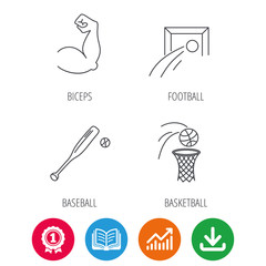 Baseball, football and basketball icons. Biceps linear sign. Award medal, growth chart and opened book web icons. Download arrow. Vector