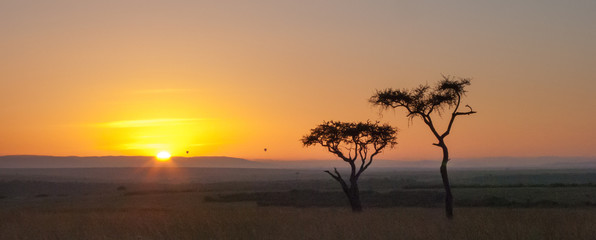 Fototapeta na wymiar Alba in Kenya