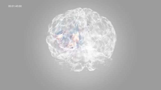 Inside the white Brain of Neuron system