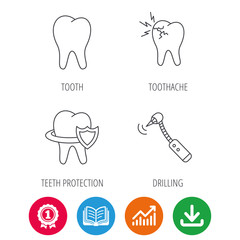 Tooth, toothache and drilling tool icons. Teeth protection linear sign. Award medal, growth chart and opened book web icons. Download arrow. Vector