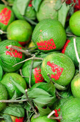 Many fresh Citrus Sinensis in chinese ceremony