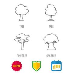Pine tree, oak-tree icons. Forest trees linear signs. Shield protection, calendar and new tag web icons. Vector