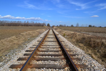 tory kolejowe © robert6666