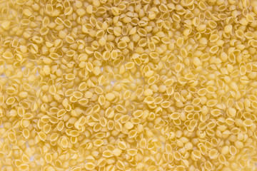 Italian pasta , can use for background