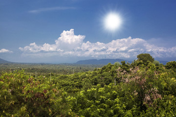 Fototapeta na wymiar Aerial view of beautiful view of the mountains palm sky. Bali, Indonesia.