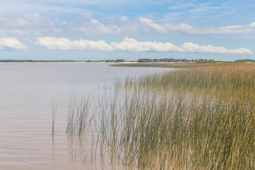 Lagoa dos Patos lake and vegetation