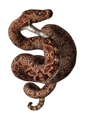 3D Rendering Rattlesnake on White