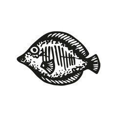 aquarium fish vector sketch