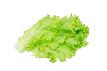 Salad leaf. Lettuce isolated on white background.