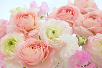 ラナンキュラスとスイートピー