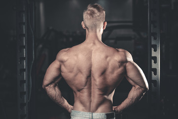 Fototapeta na wymiar Handsome power athletic man diet training pumping up back muscles