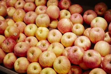 Apples 