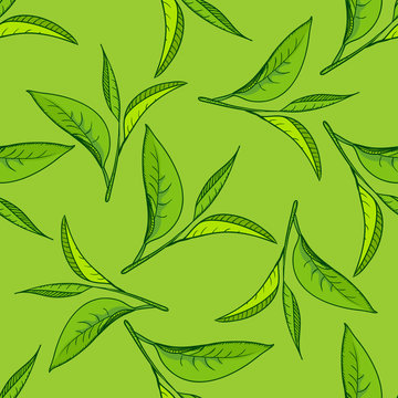Seamless tea leaves pattern