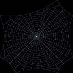 Spiderweb. Isolated on black background. Vector outline illustration.