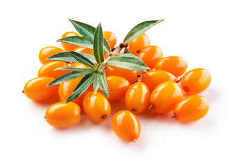 Sea buckthorn. Fresh ripe berries with leaves isolated on white background. - obrazy, fototapety, plakaty
