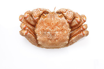 Obraz na płótnie Canvas hairy crab
