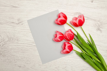 Clean gray sheet of paper and pink tulips on a light wooden background. top view, space for text