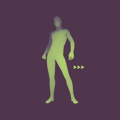 Fototapeta na wymiar Standing Man. 3D Human Body Model. Design Element.