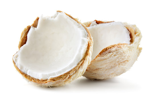 Coconut. Fresh young nut isolated on white background. Full depth of field.