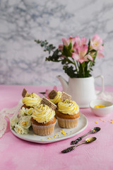 Vanilla cupcakes with chocolate chips on marble background