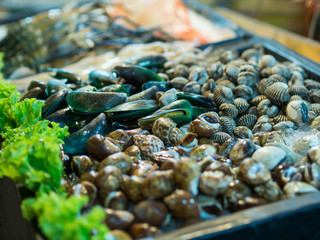 Seafood on ice at the night market