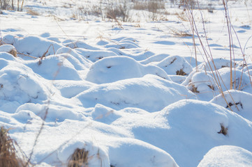 in the field of tussocks under the snow on a Sunny day.