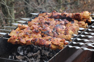 Meat is grilled / Schaschlik / Barbecue cooking
