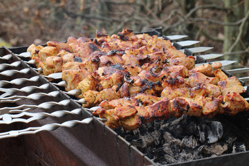 Meat is grilled / Schaschlik / Barbecue cooking