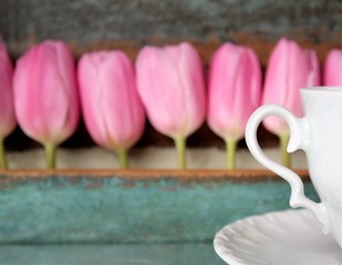 Tulips and cup and saucer with a painted wooden background