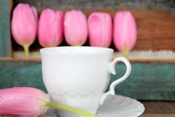 Fototapeta na wymiar Tulips and cup and saucer with a painted wooden background