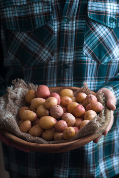 Wooden plate with raw potatoes in the hands
