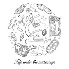 Big set with microscope and different microorganisms. Vector illustration
