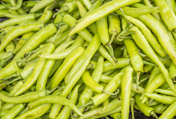 Green pepper or chili pattern