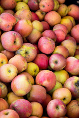 Organic red apples on a farmer's market stall