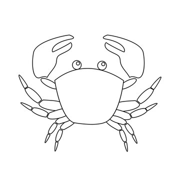Contour image of crab isolated on white background.