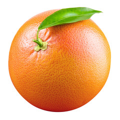 Grapefruit with leaf isolated on white background. With clipping path. Full depth of field.