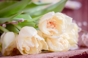 The gentle tulips on a table