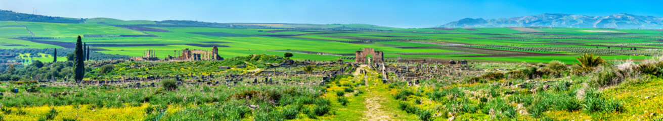 Obraz premium Panorama of the antique city of Volubilis, a UNESCO heritage site in Morocco