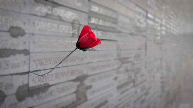 A Red Rose at the Monument to the Victims of State Terrorism, Parque de la Memoria, Buenos Aires, Argentina - Close Up