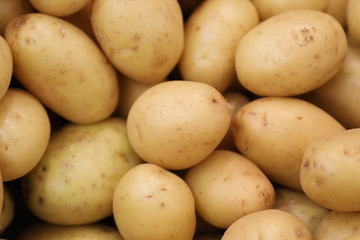 fresh young potato