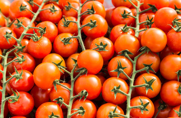 cluster of red  cherry tomatoes for background