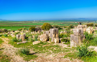 Ruins of Volubilis, a Berber and Roman city in Morocco