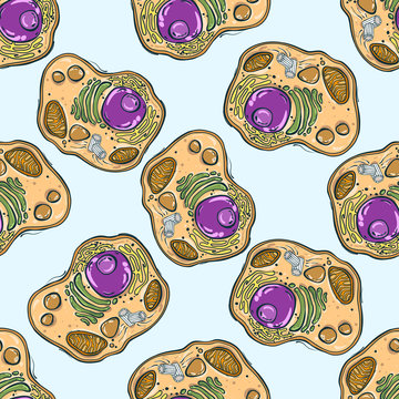 Seamless pattern with animal cells. Vector illustration