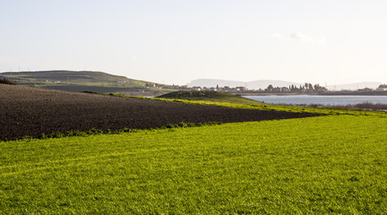 Fototapeta na wymiar QUARTU S.E.: panorama della Campagna sul lago Simbiritzi - Sardegna