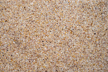 Color of pebbles floor