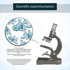 Amoebas under the microscope. Scientific laboratory. Vector illustration