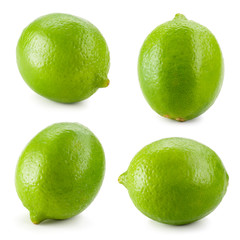 Lime. Fresh citrus fruit isolated on white background. Collection.