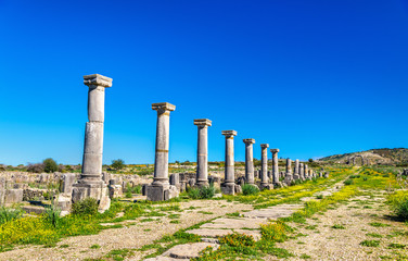 Ruins of Volubilis, a Berber and Roman city in Morocco