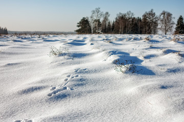 Footprints in the snow.